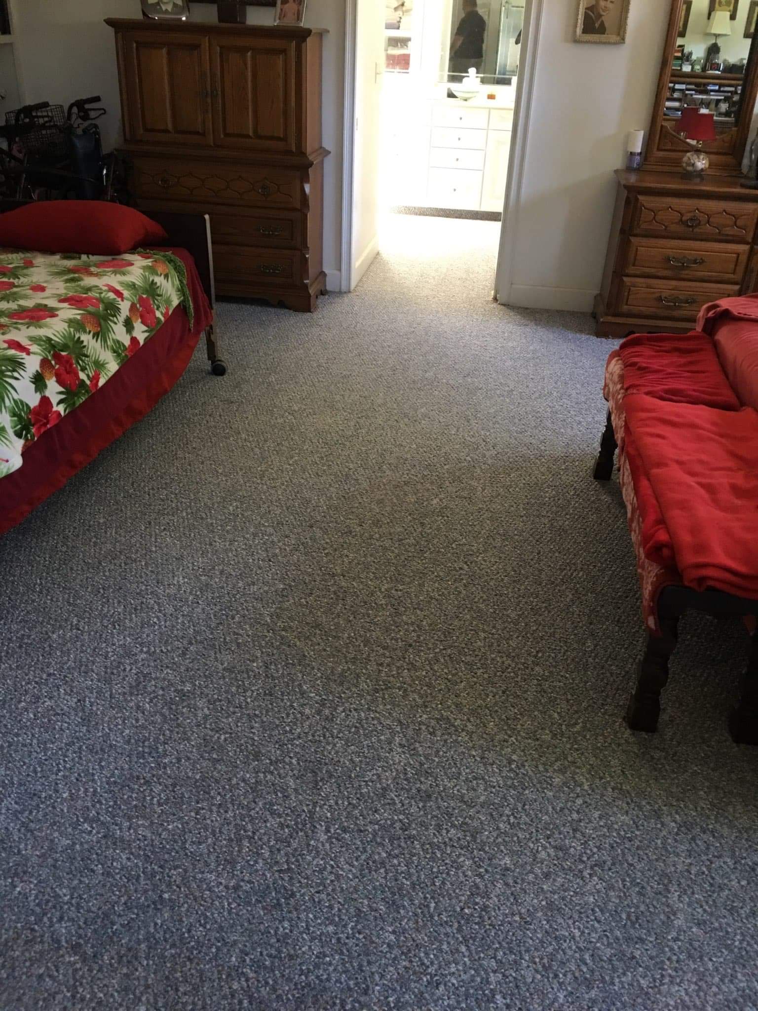 carpet with urine removed